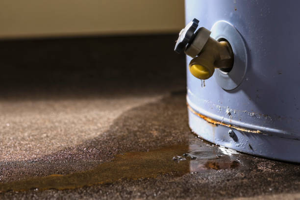 Best Water damage restoration services  in Ohkay Owingeh, NM