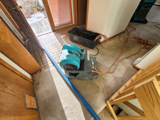 Best Commercial water damage restoration  in Ohkay Owingeh, NM
