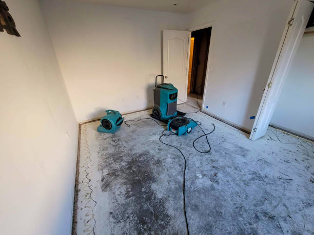 Best Residential water damage restoration  in Ohkay Owingeh, NM
