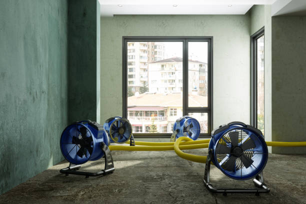 Best Local water damage restoration  in Ohkay Owingeh, NM